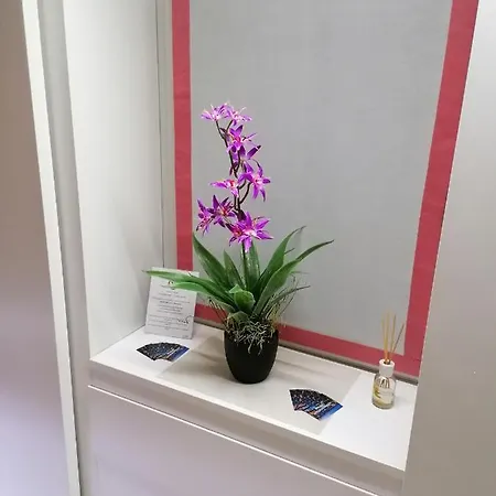 Guest house Accomodation Verona - City Centre 2*
