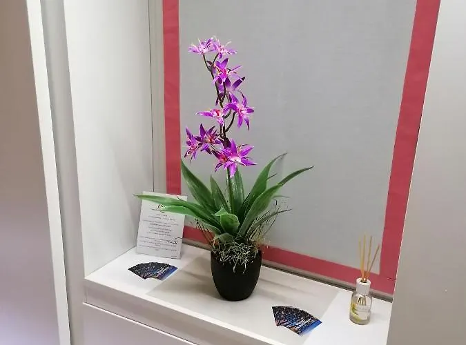 Guest house Accomodation Verona - City Centre 4*